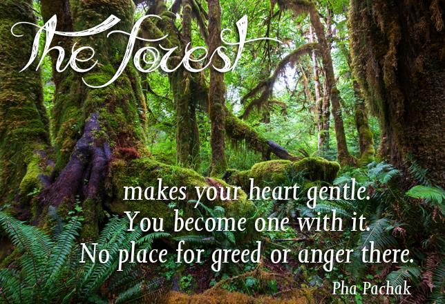 If only all could rekindle with nature