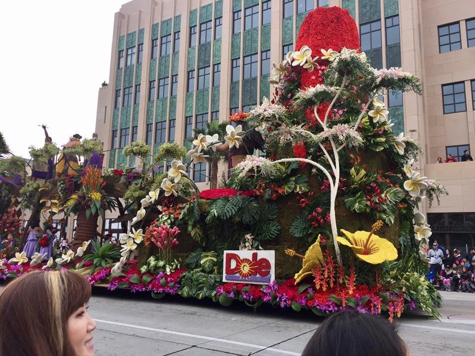 Beverly Kluger's album, The 2017 Rose Parade 🌹