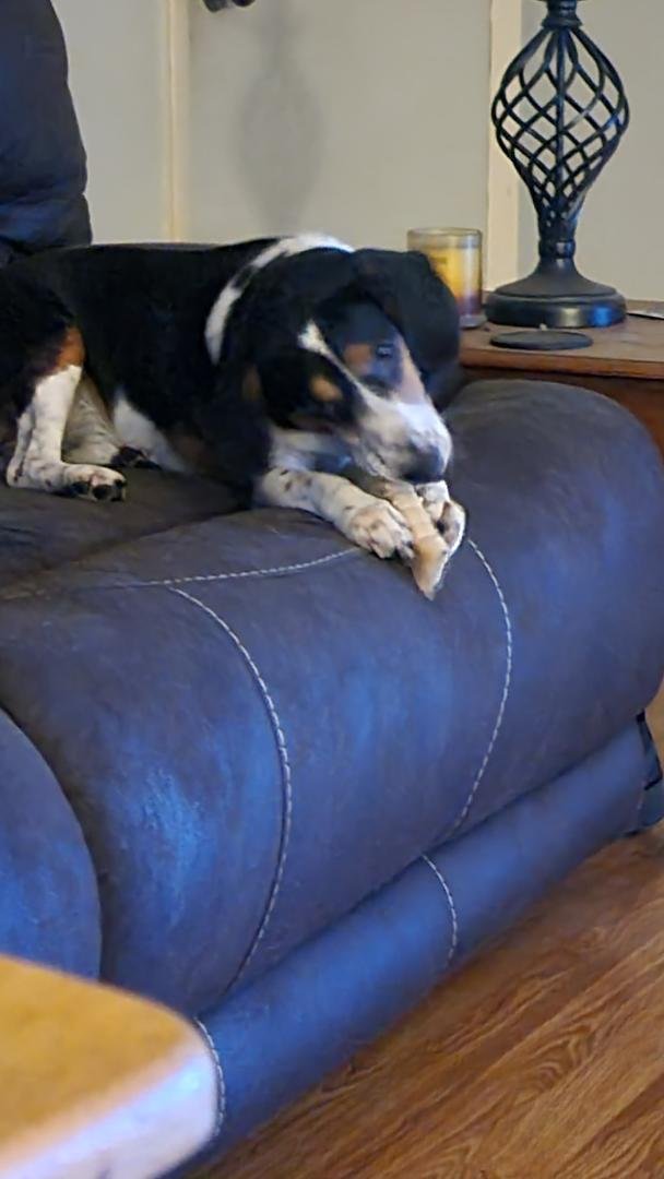 Hold on tight, Ringo.