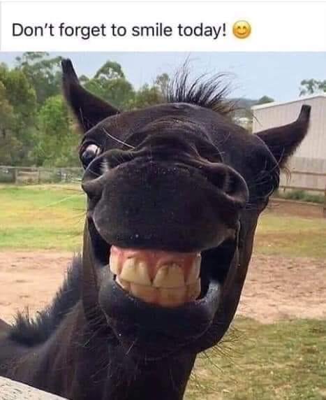 Kenneth Mackay's album, Timeline photos