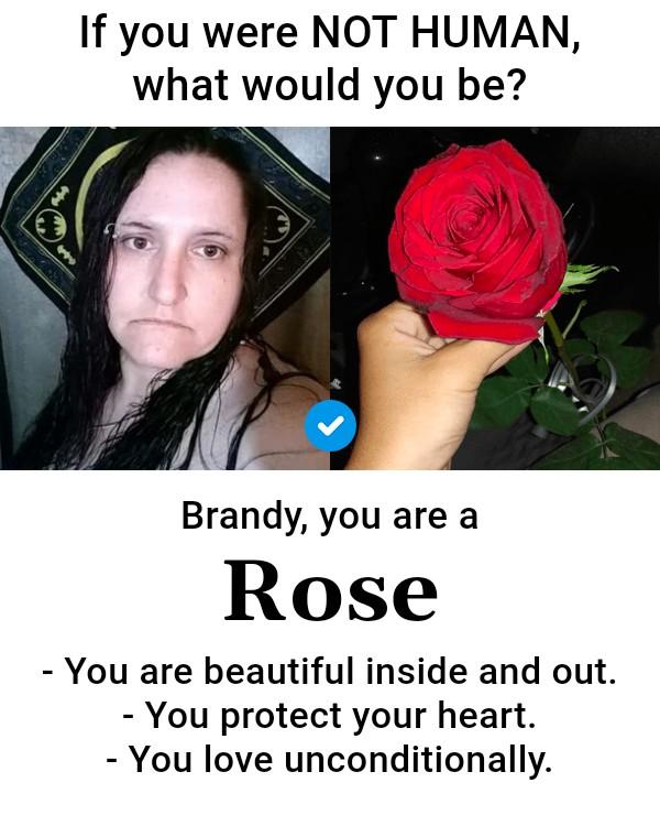 Brandy Atcher's album, Timeline photos