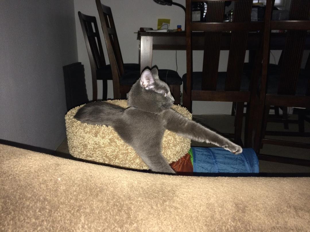 I'm awake now...