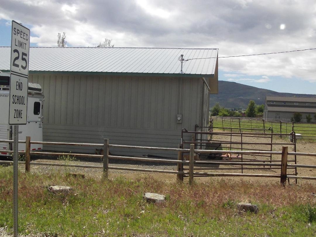 Two deer hanging out by someones barn.  I spotted them and we had to go back to take a picture