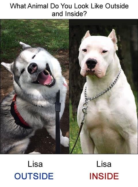 Lisa Lacher's album, Timeline Photos