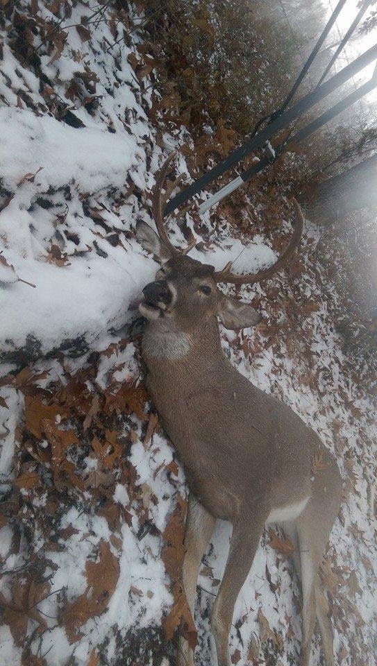 Nice 9 point buck (180 field dressed) the snow rocked the hunt!
