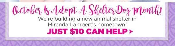OCTOBER IS ADOPT A SHELTER PET MONTH! Click at theanimalrescuesite