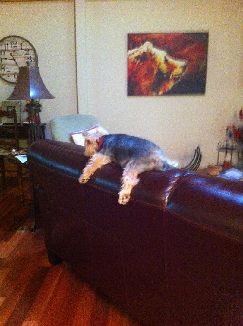 Worn out in the mountains😝😝😝👍