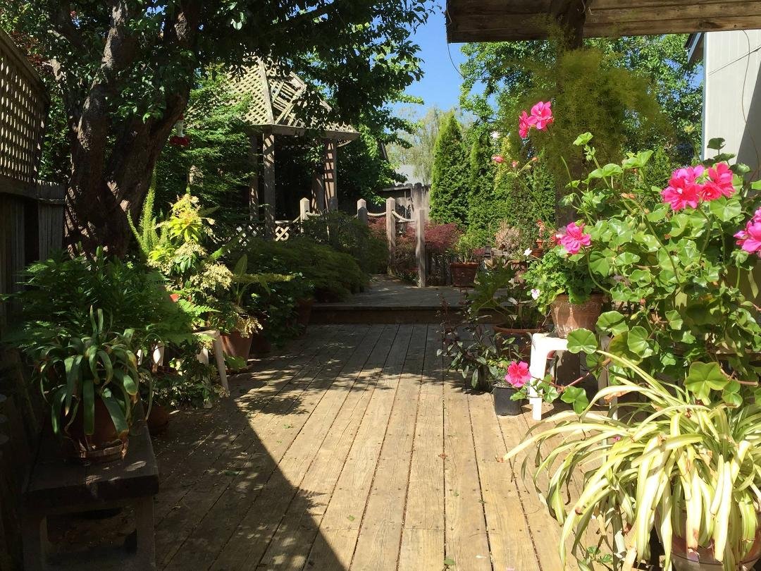 My yard is growing again.