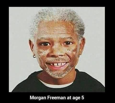 Upon further review, I realize that my last posted meme contained some vulgar language. I apologize. I was only quoting the cat. I will make a point of avoiding vulgarities in the future.
This is an old picture of Morgan