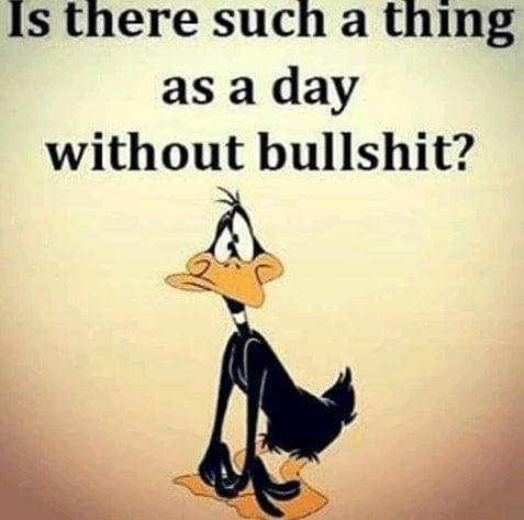 John Hon's album, Timeline photos
