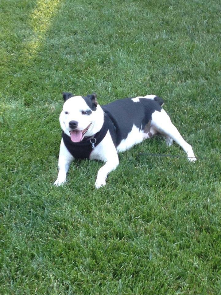 My crazy little girl!