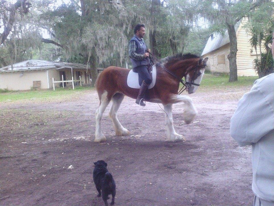 Skyy at Spring Garden Ranch.