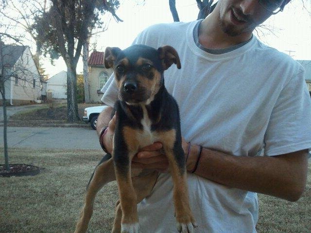 This is Scarlet and she is looking for a good home.