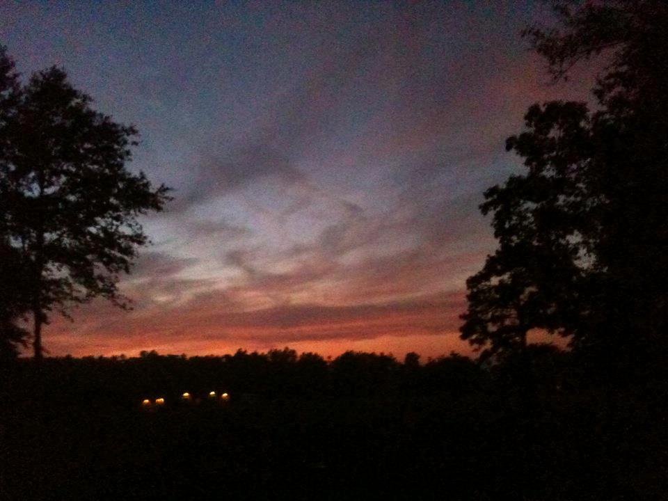 My back yard