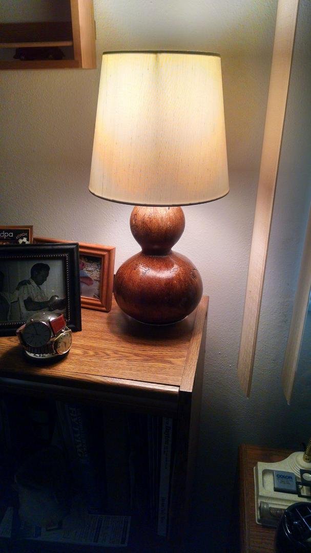 Gord lamp, another use for gords.