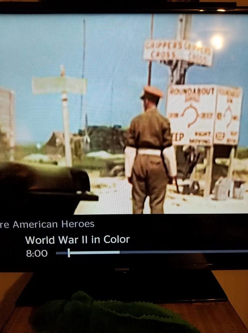 I hate roundabouts! Just found out they were used in Europe during WWII. I wish we had left them there!