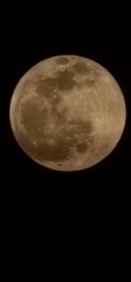 Moon doesn't look very pink.