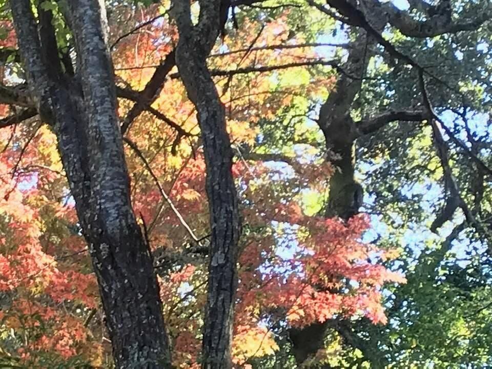 The view out of my office window.