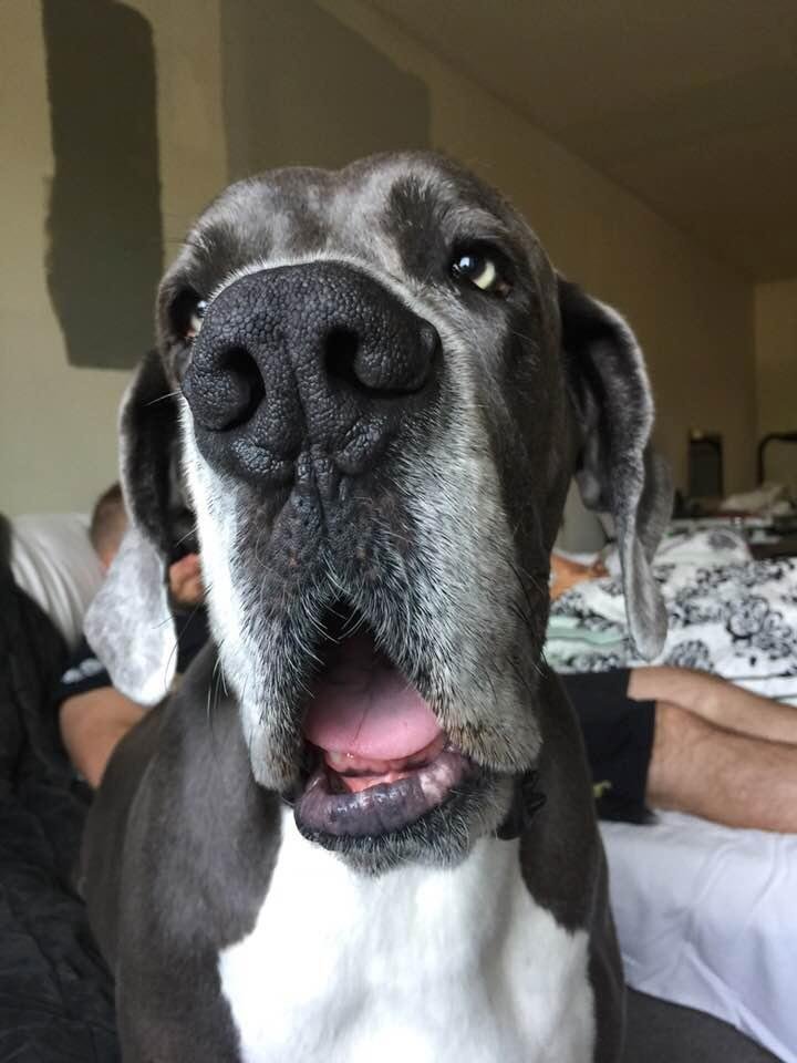 Did you feed me today? I don’t remember.