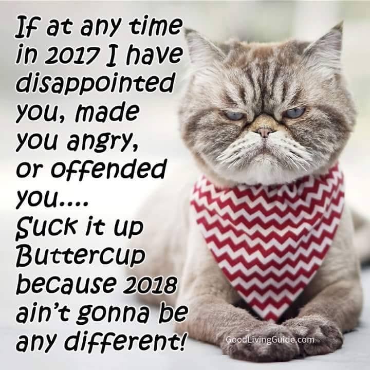 Consuella Jackson's album, Timeline Photos