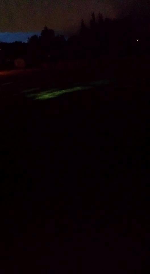 Wierd light in the back