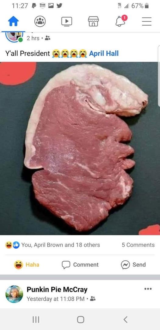 May or may not have seen this one. However,l needed to share. Meet Trump the Meat Head.