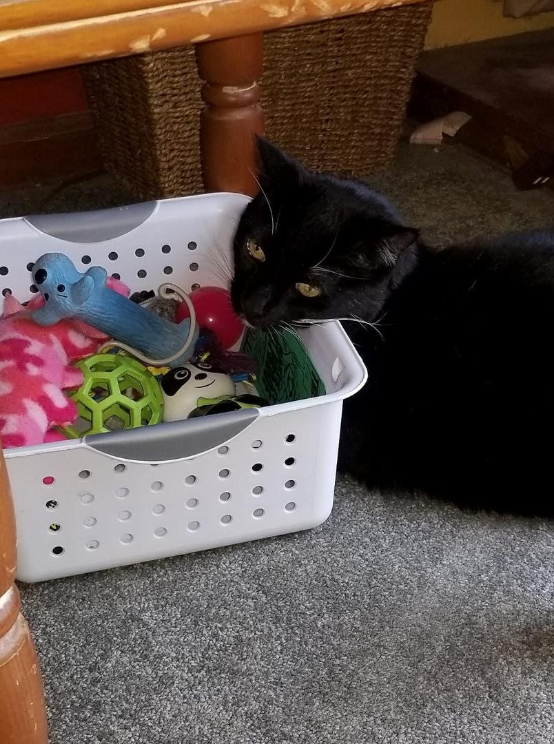 So many choices, what to do....