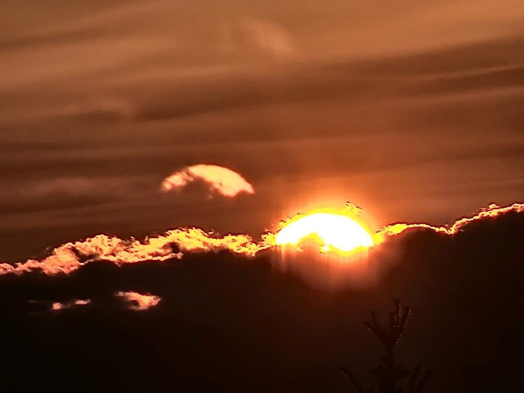 Good Morning, Frens & Family.
Current temp 24* North wind 8 mph, projected high of 41* (Yay!) Snow turning to rain in some places. 11 hrs 56 min 34 sec of Sunlight.
Anyone besides us not receive last year's tax refund?