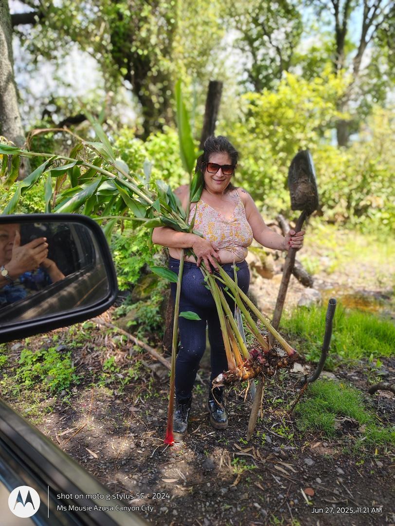 Norma Aguirre's album, Mobile uploads