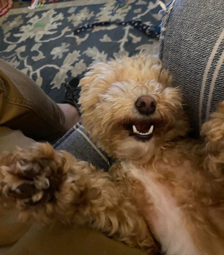 Belly scratches! F**K yeah!