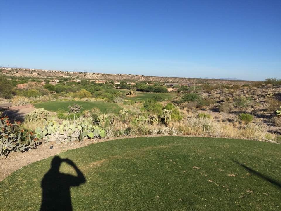 A few lost golf balls here today