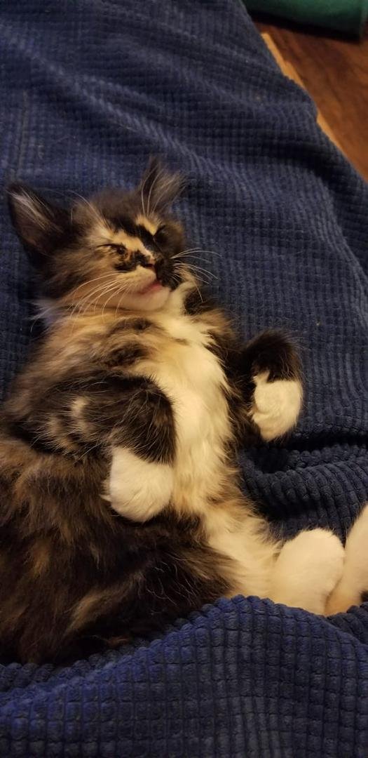 Sleeping beauty!!