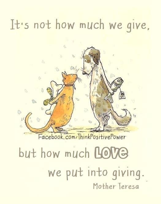 I like this...