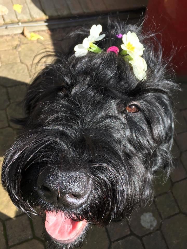 My little flower child enjoying the sun!!