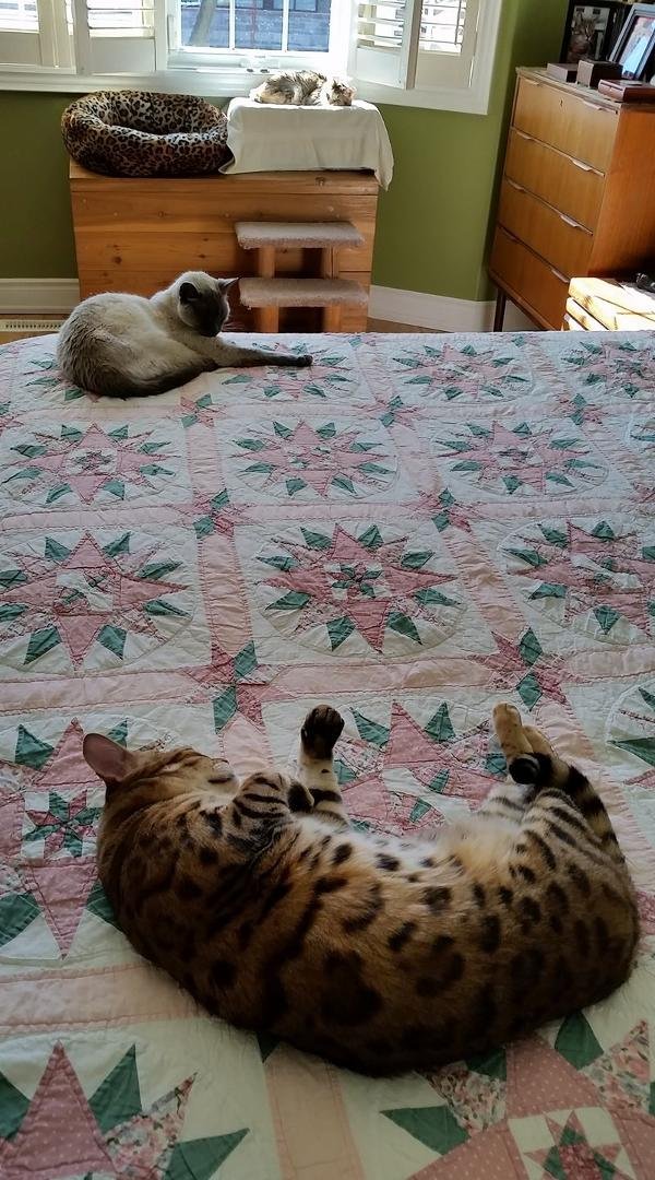 Nap time!