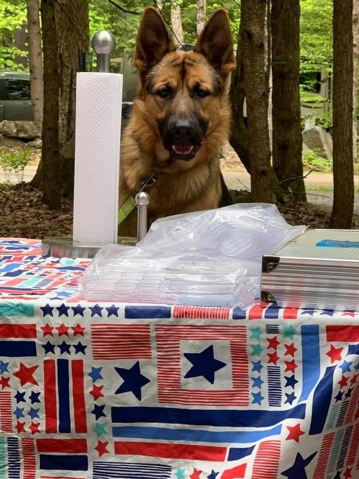 Camping makes me hungry! Daaaad when’s dinner? I’m ready!!!