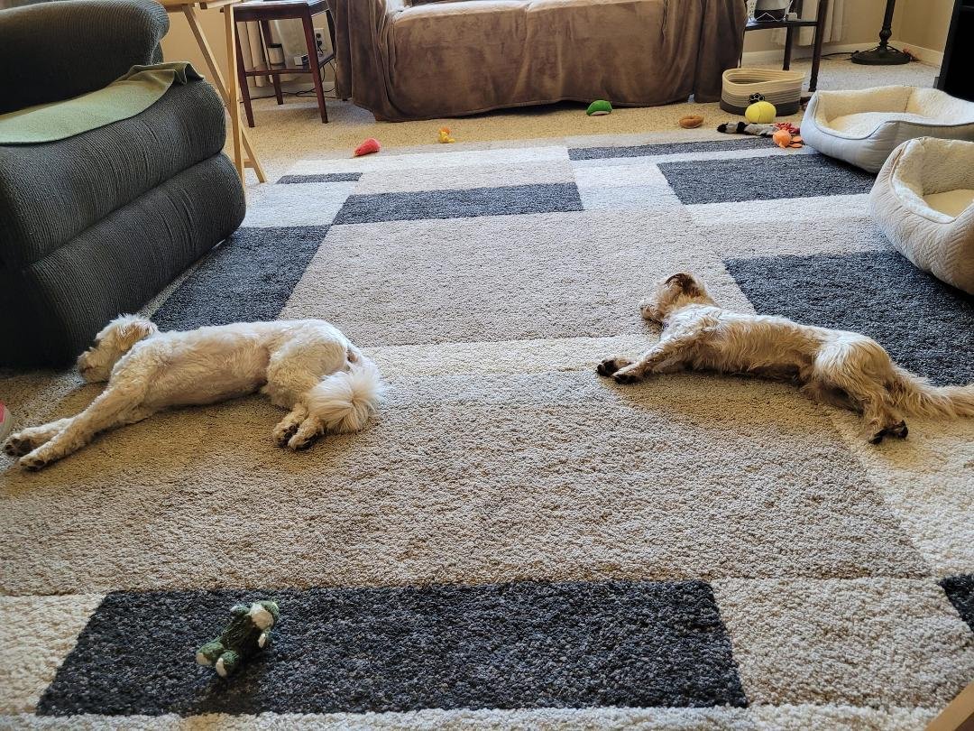 Post chase recharging mode!