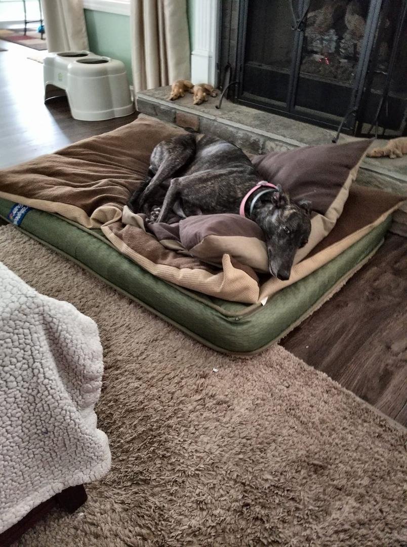 BELLA relaxing