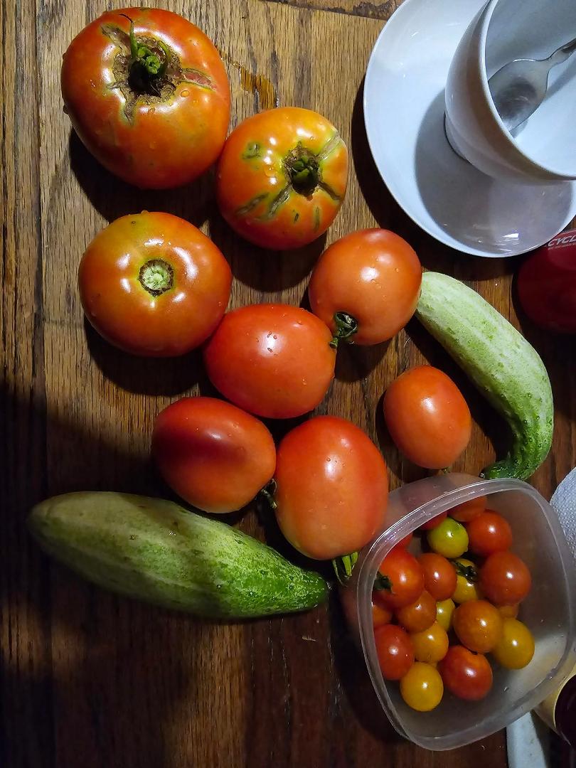 Last night's romas....2 more today and the rest of today's garden goodies 😋🍅🍅🍅🥒