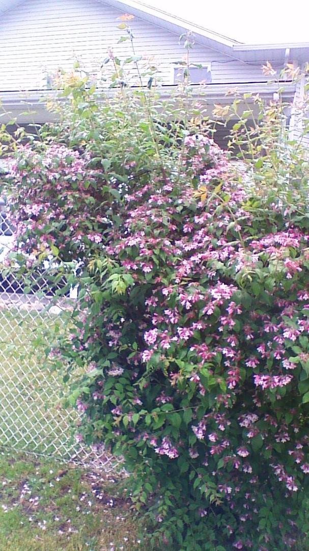 Robert Rapley's album, Timeline Photos