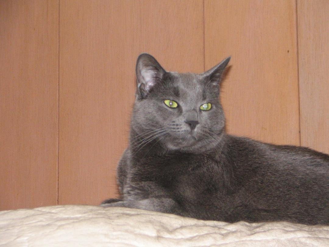 Buffy's brother, Dusty (the mischievous one) 1999-