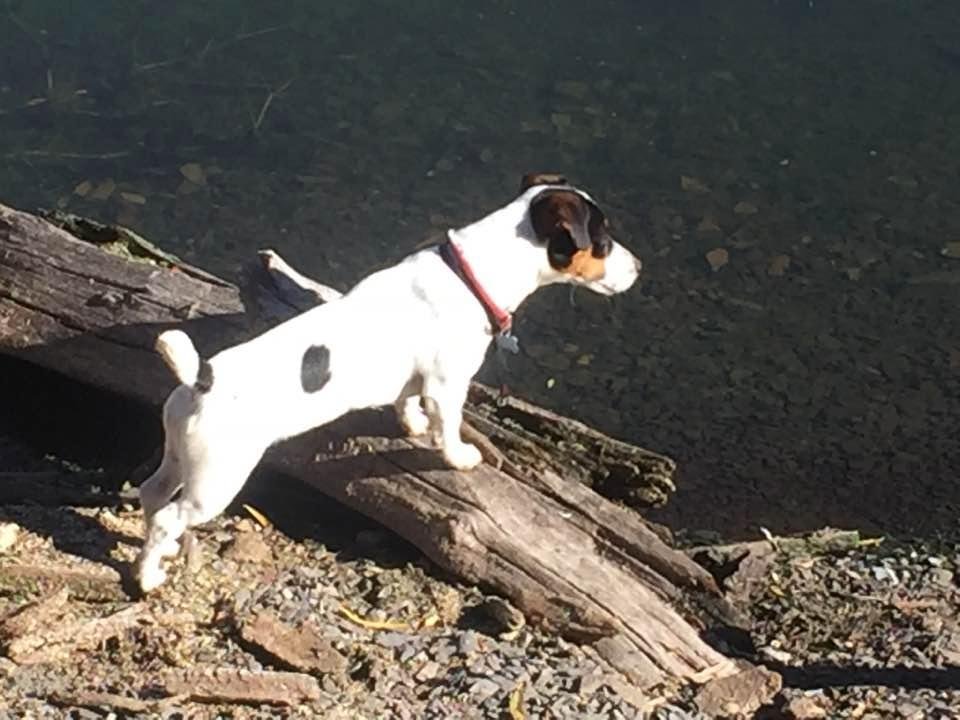 Chauna McAuliffe's album, Timeline Photos