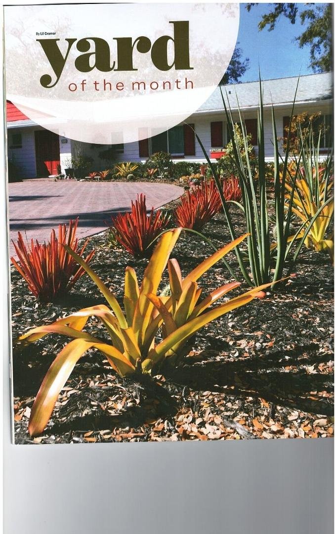 My "work-in-progress" gardening endeavor is featured in the July issue of Stroll Magazine. See attached 3-page article (in sections)