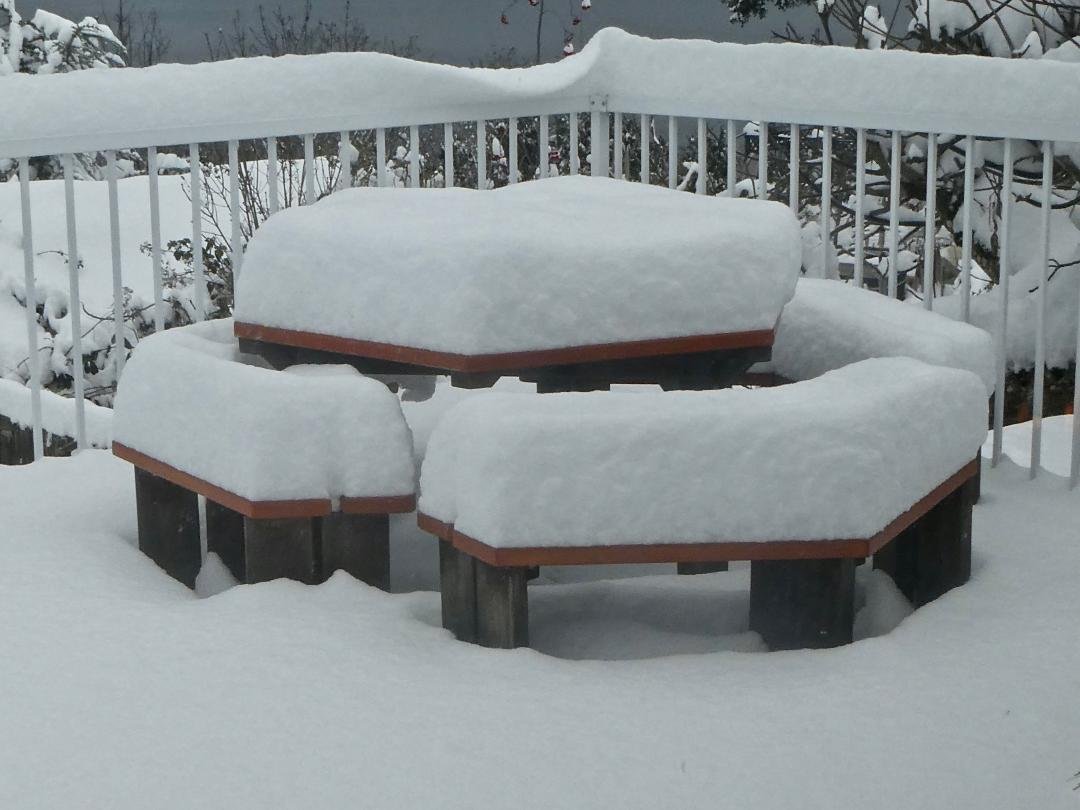 Picnic Table