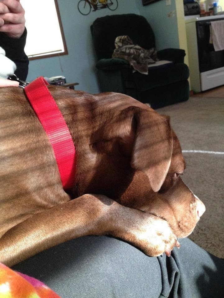 Debora Turlin's album, Timeline Photos