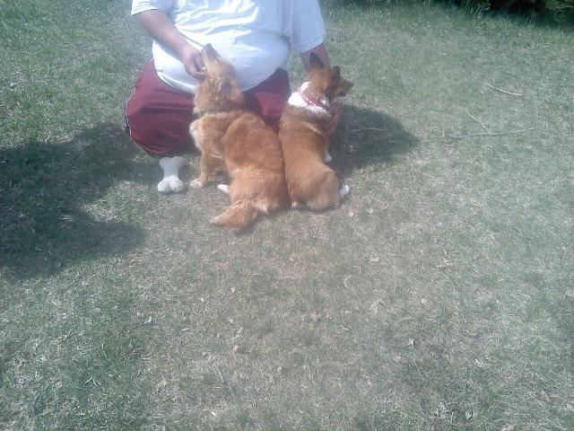 Our Babies