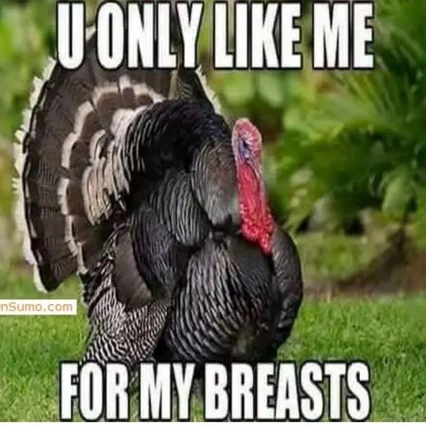 Happy Thanksgiving to everyone