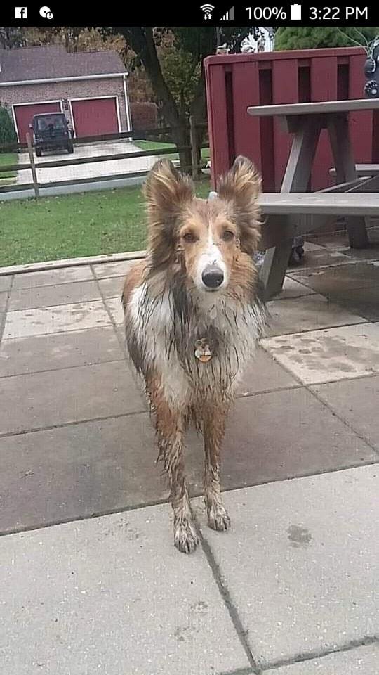 Daddy....... I need a bath before Mommy gets home!!!!!