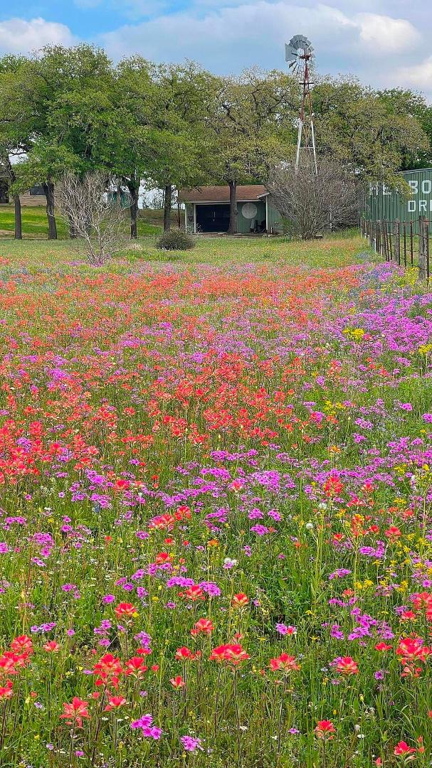No place like Texas, this is a small town northwest of my place, Seguin about 1 1/2 hour drive.