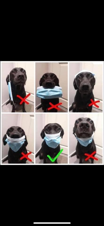 The correct way to wear a mask!